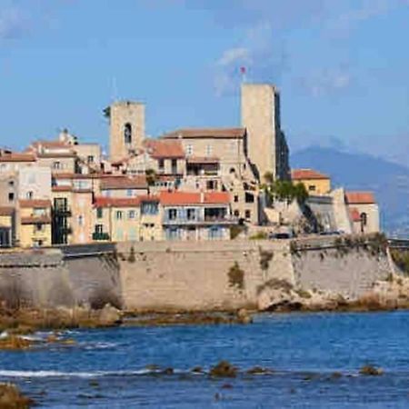 Studio Meuble Proche Plages Et Vieille Ville アンティーブ エクステリア 写真