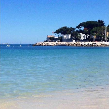 Studio Meuble Proche Plages Et Vieille Ville アンティーブ エクステリア 写真