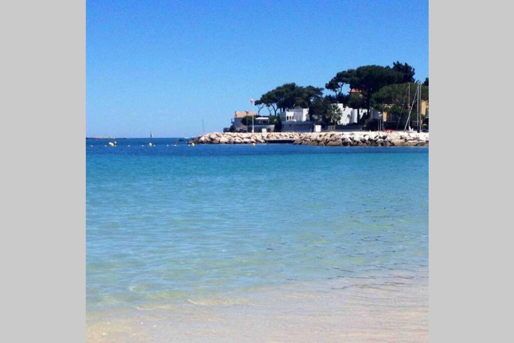 Studio Meuble Proche Plages Et Vieille Ville アンティーブ エクステリア 写真